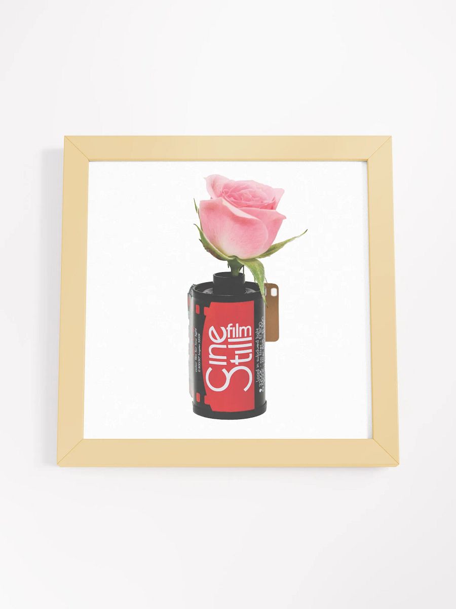 Cinestill Rose Framed Poster Print product image (40)