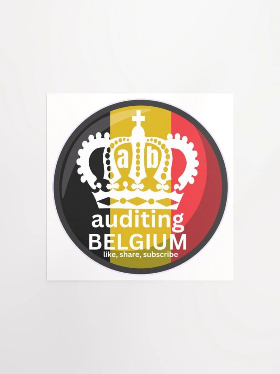 AUDITING BELGIUM product image (1)