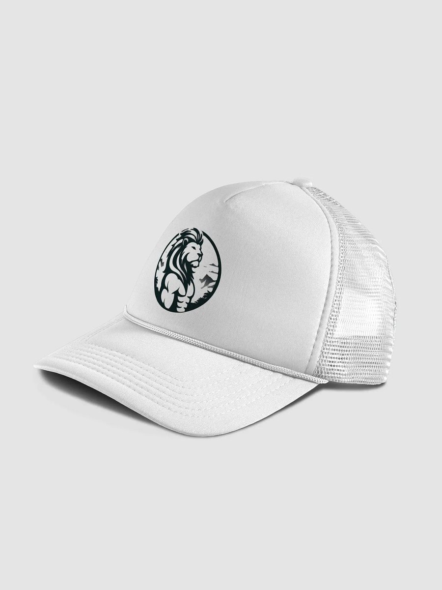 Llion product image (4)