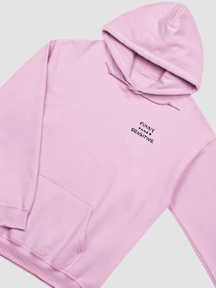 FUNNY *and* SENSITIVE (sm. design) classic hoodie product image (37)