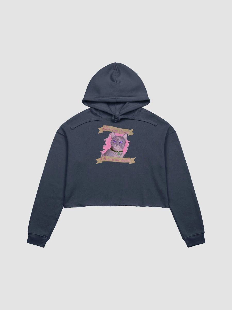 Newt Cropped Hoodie product image (10)