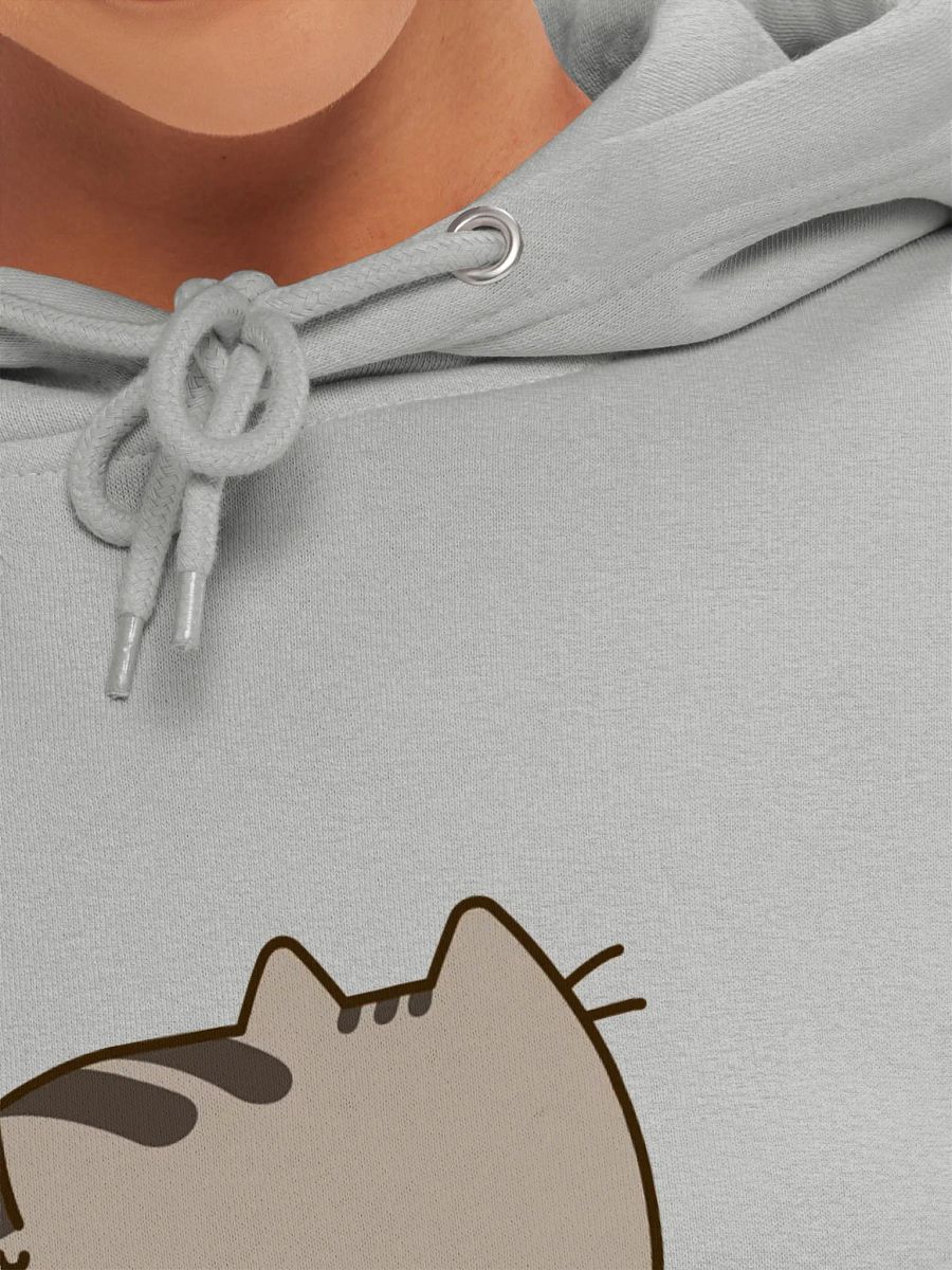 Fabulous Meme Cat Premium Hoodie product image (35)