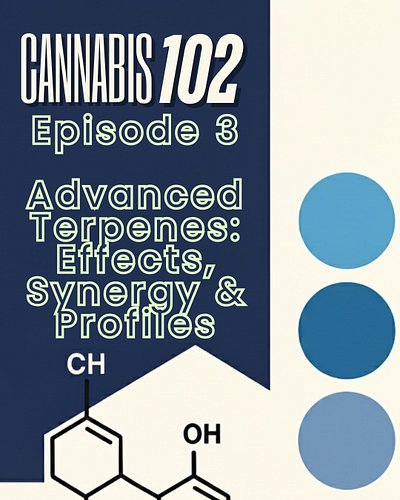 🌿 Cannabis 102:Ep 3 - Advanced Terpenes — Effects, Synergy & Profiles

Terpenes are more than aroma — they help shape how can...