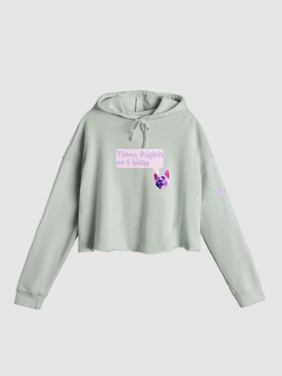 TROIB Cropped Hoodie in pink quote product image (14)