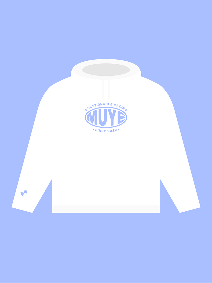 Questionable Racing Hoodie product image (1)