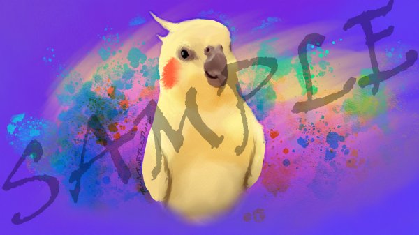 Cockatiel Sticker product image (1)