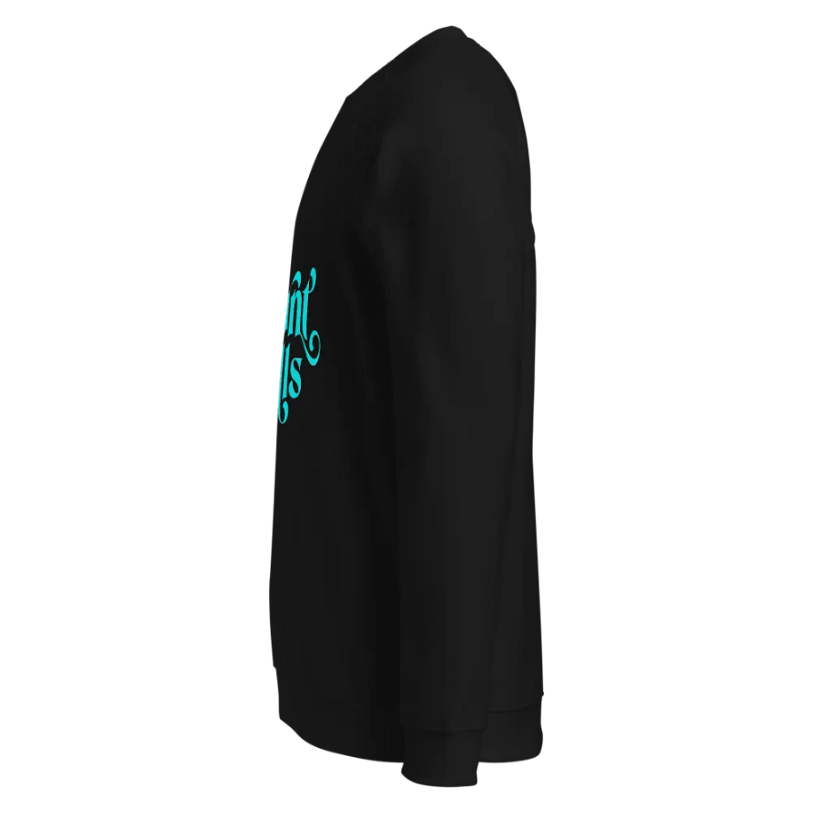 Mount Hills Organic Raglan Sweatshirt product image (3)