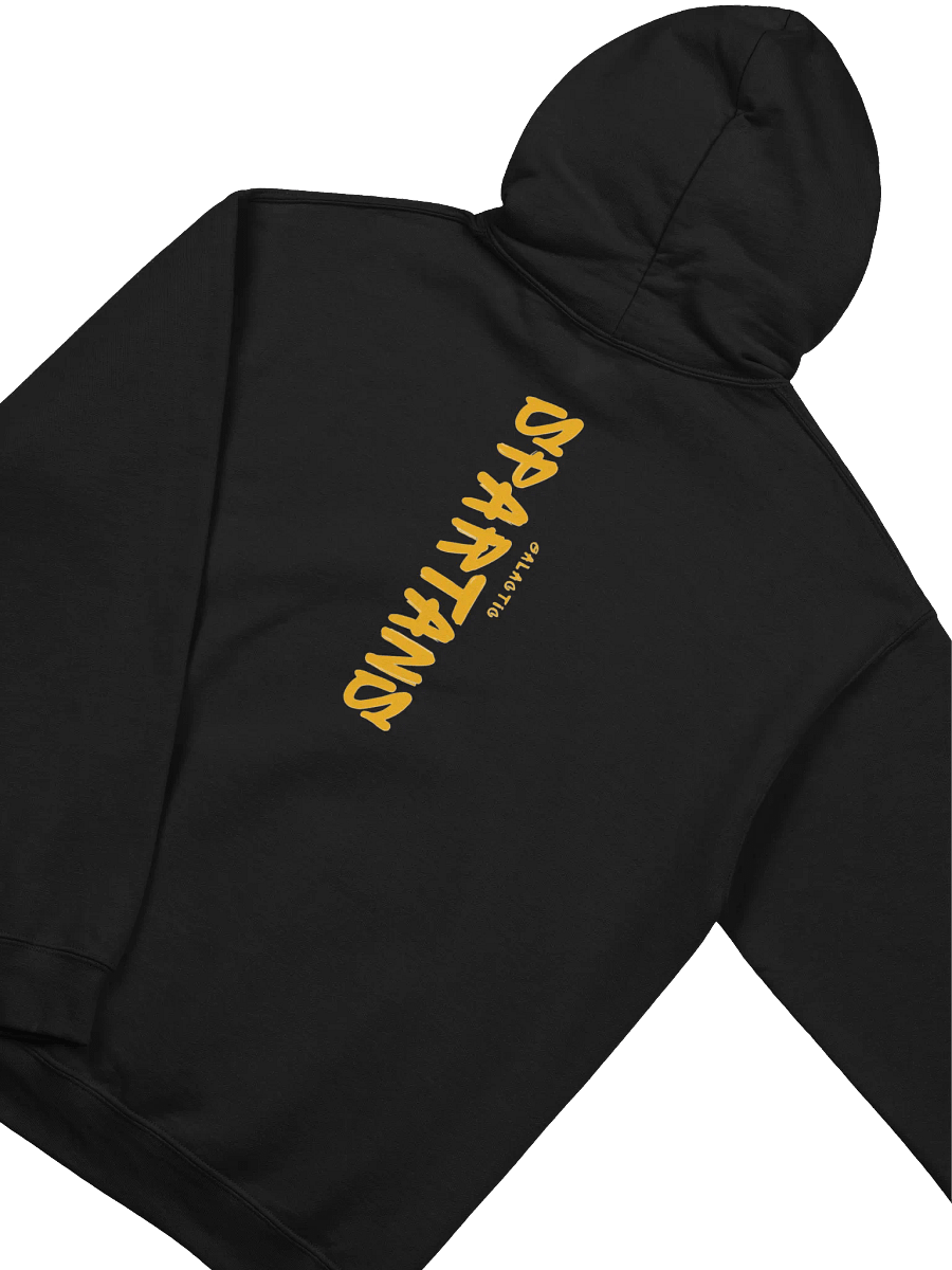 Galactic Spartans Hoodie (Black) product image (4)
