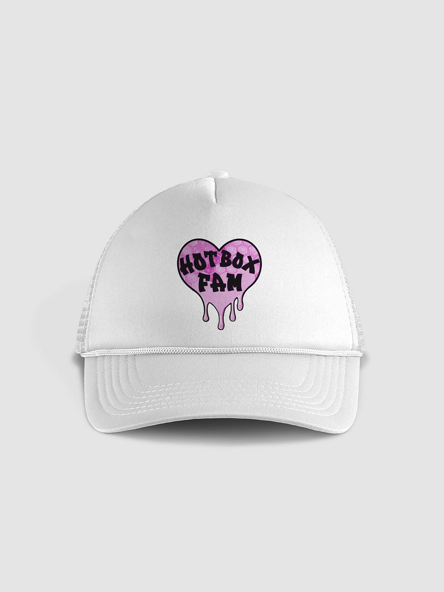HOT BOX FAM HAT product image (1)