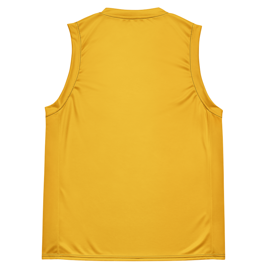 Roland van Beethoven by Frank Fonik (TB 303) classic synth Tribute Unisex Basketball Jersey product image (5)