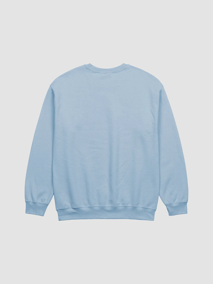 Synergy Sweatshirt product image (3)
