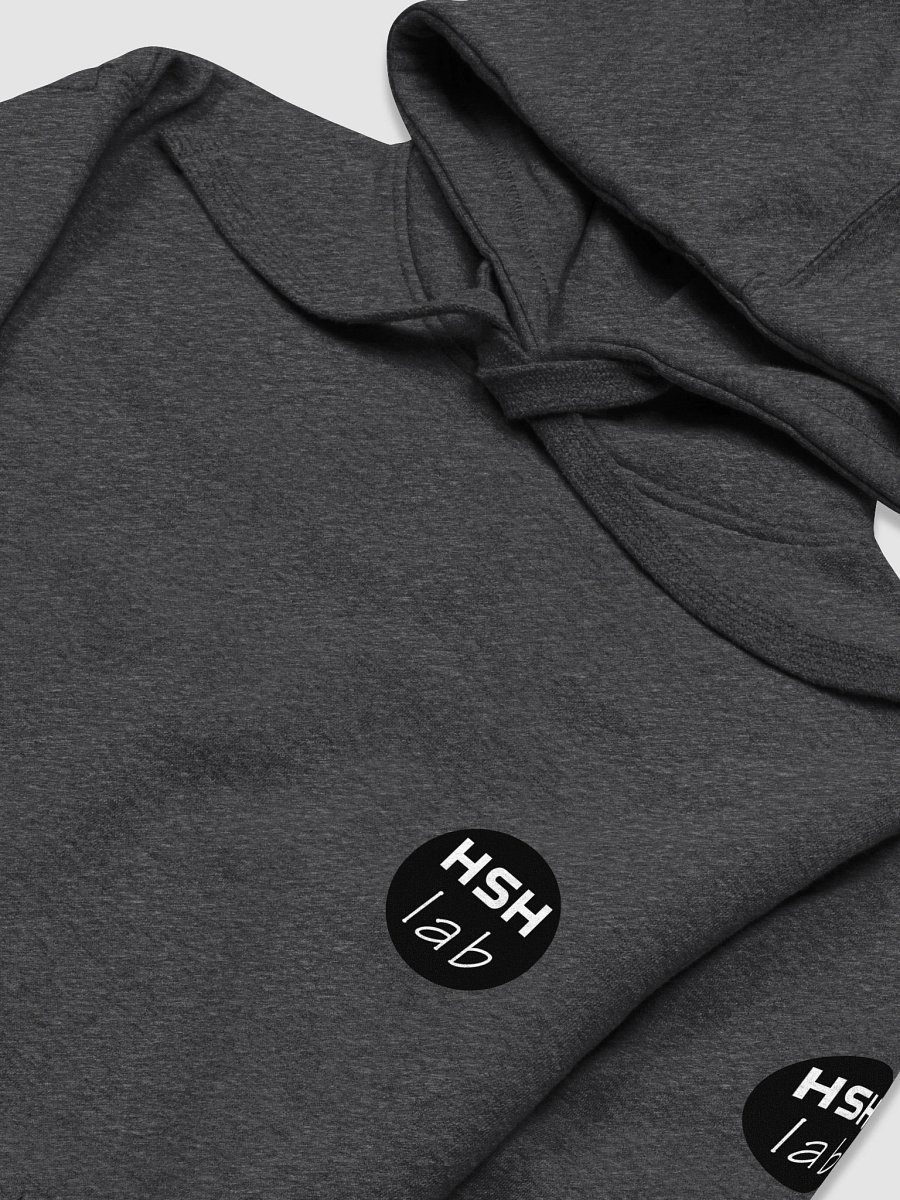 HSH-lab - Cotton Heritage Unisex Premium Hoodie (unisex) product image (4)