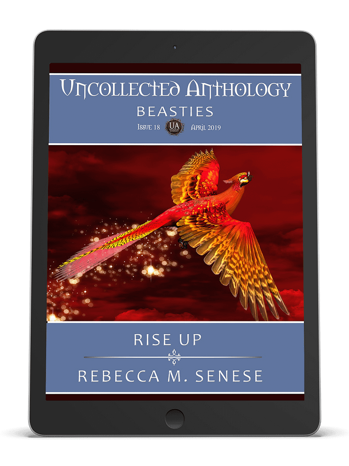 Rise Up product image (1)