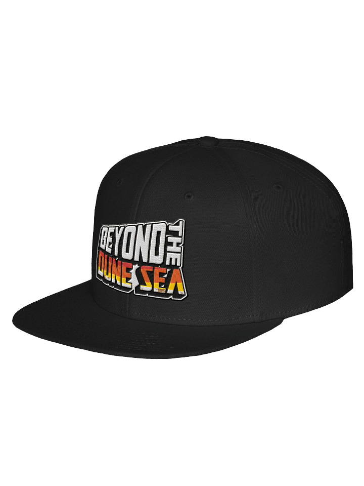 BTDS Snapback product image (2)