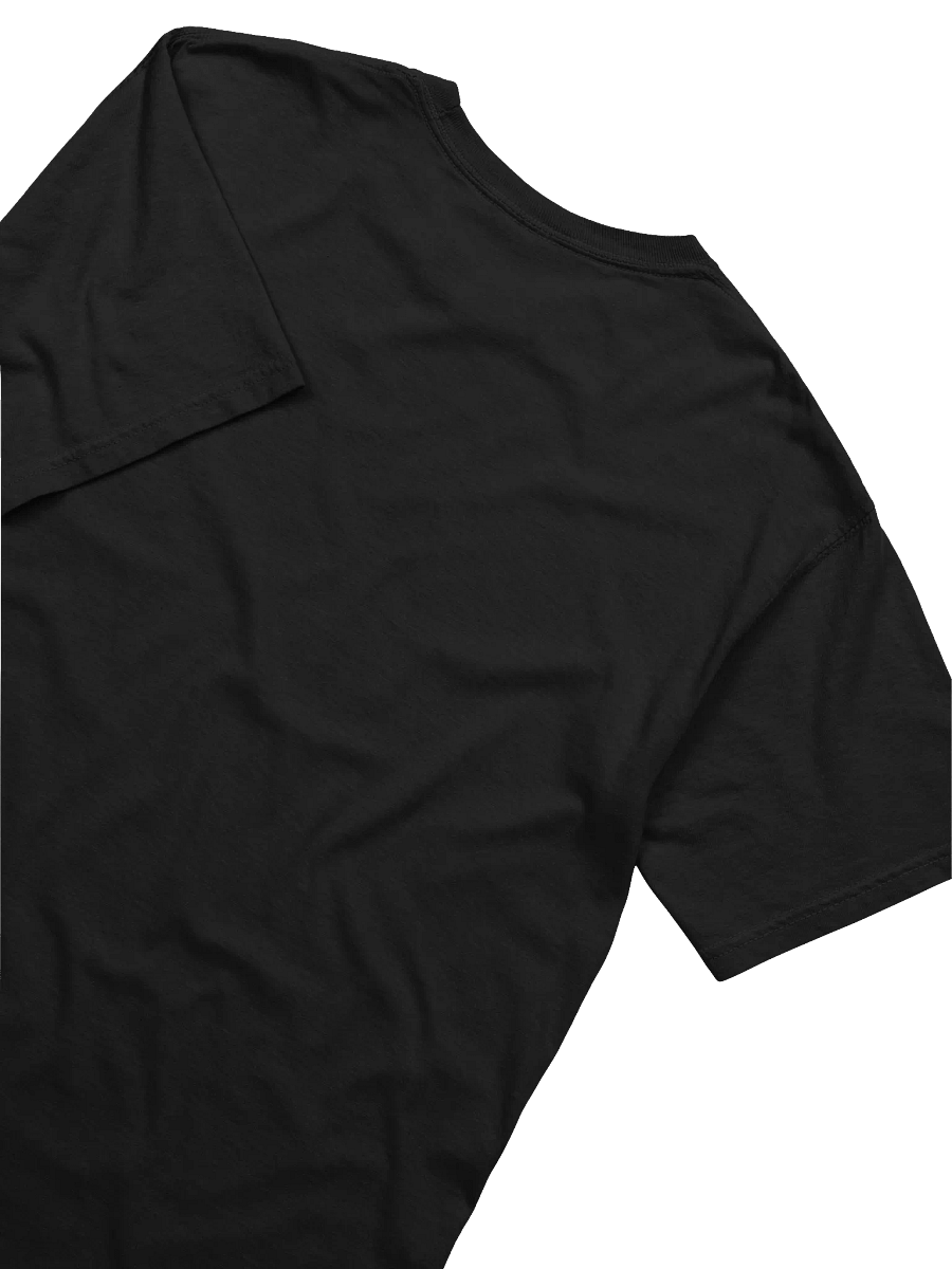Special Damion T’s Collection — Suck It Tee: Pride Edition 2025 product image (4)