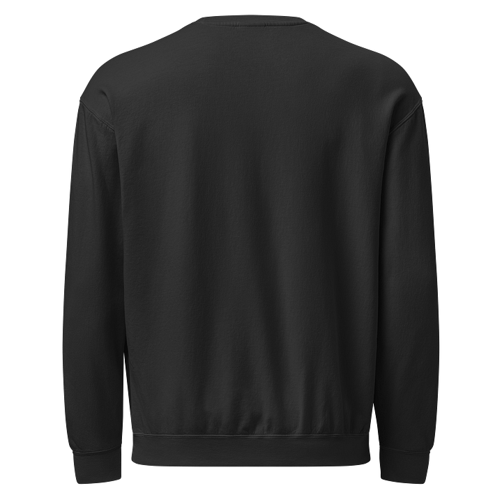 DVAU embroidered crewneck product image (2)