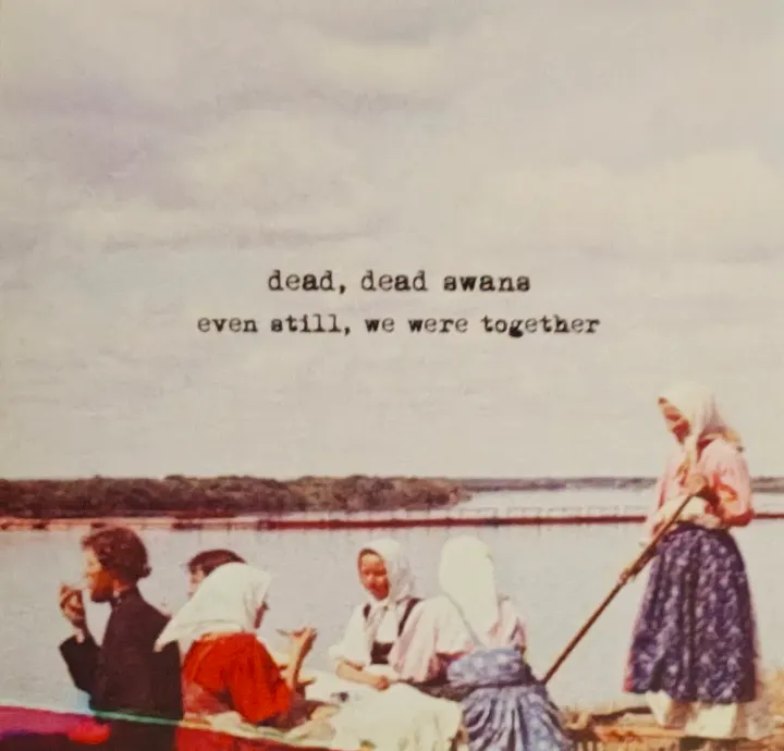 Dead, Dead Swans - Even Still We Were Together [CD] product image (1)