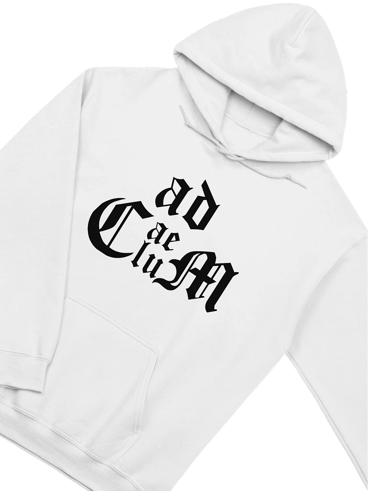 Generic Logo Pullover Hoodie (White) product image (2)