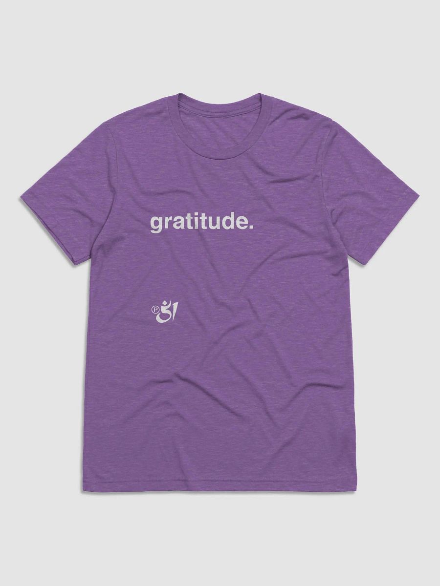 gratitude. tee product image (1)
