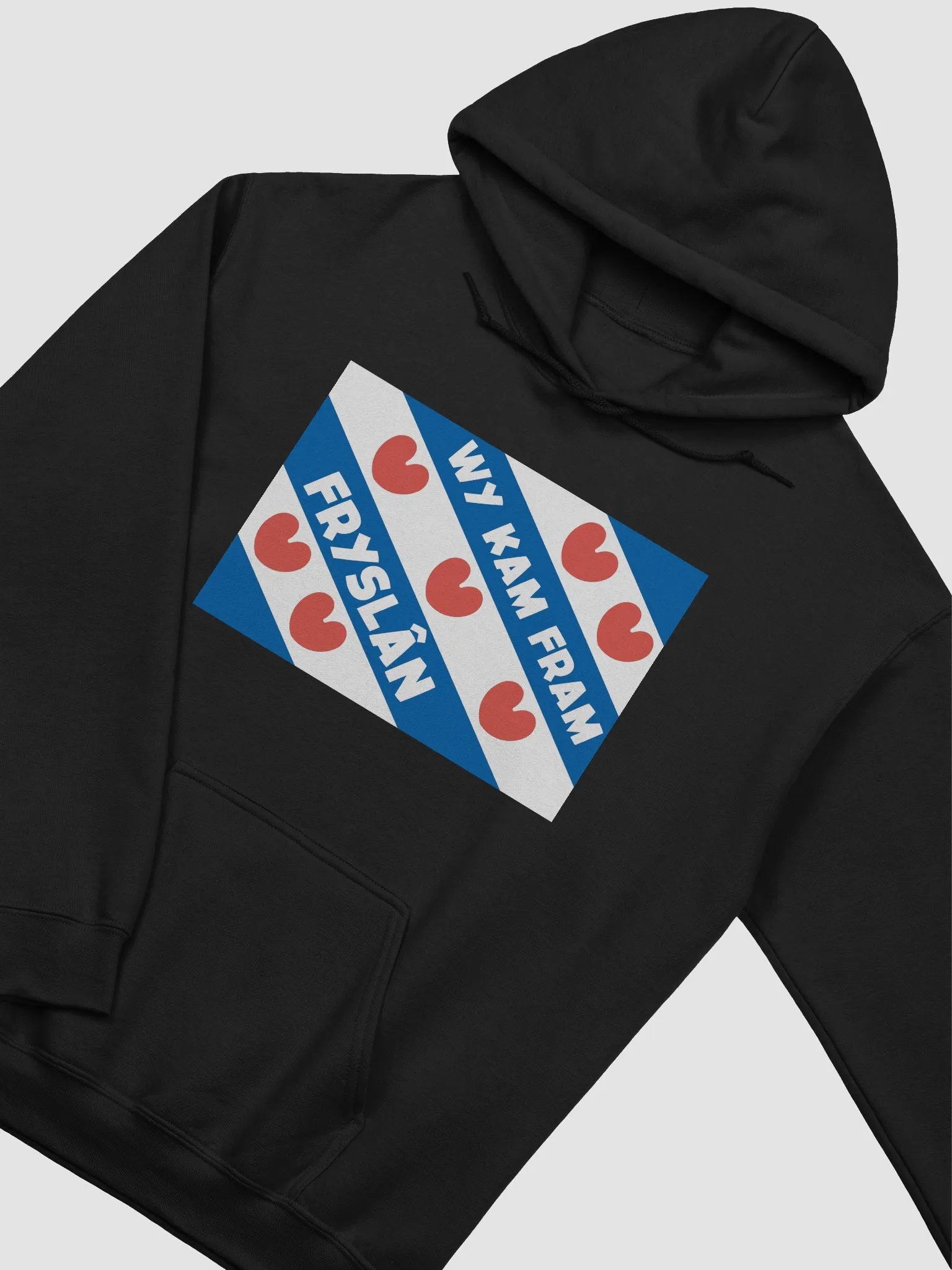 Wy Kam Fram Fryslân Flag - Hoodie (Black/Coloured) product image (38)