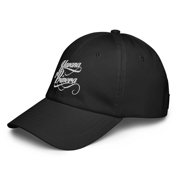 Havana D'Primera - Under Armour® Dad Hat product image (2)