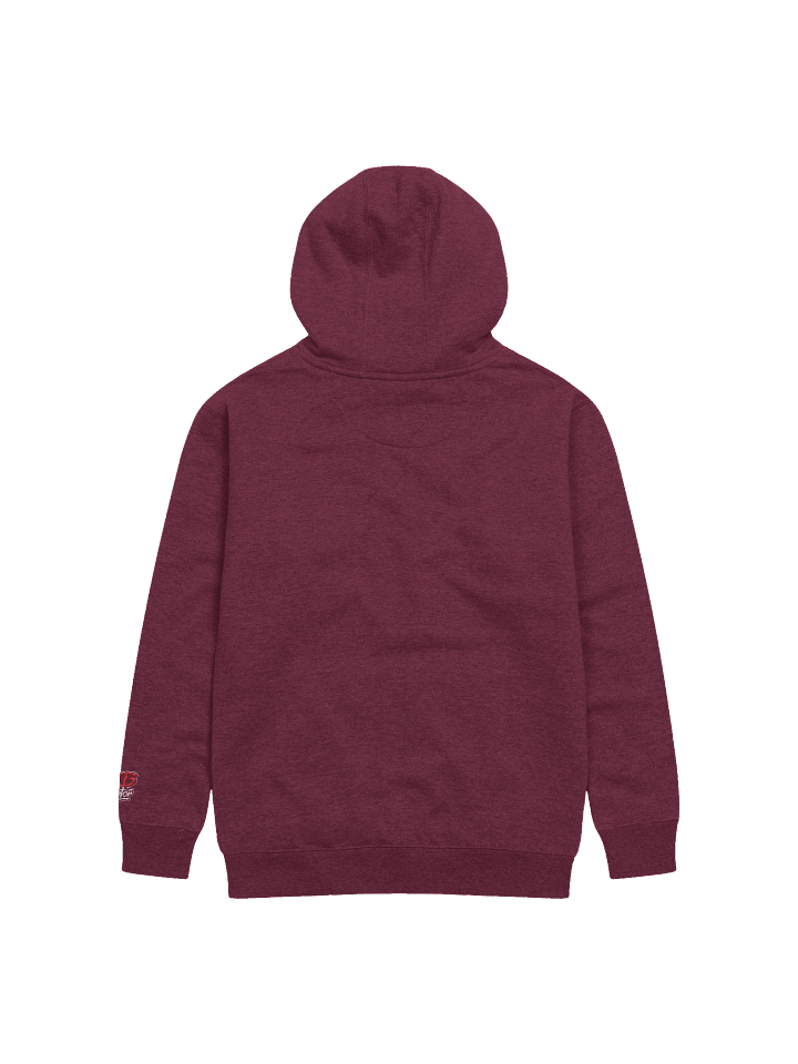 Talk To Me Lightly Embroidered Hoodie product image (10)