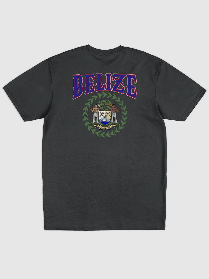 Team Belize Men's Premium Tee product image (2)