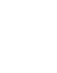 Valdevia Store