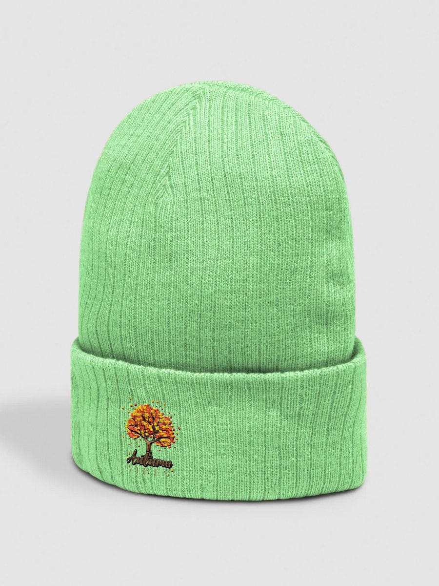 Autumn Vibes | Beanie product image (10)