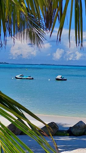 Tropical paradise. Sunny days every day at Maldives, Jawakara resort.

#maldives #jawakaraislands #jawakaraisland #paradise🌴 ...
