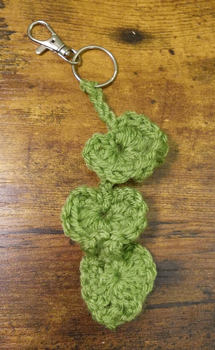 Vine KeyChain 🌿 product image (2)