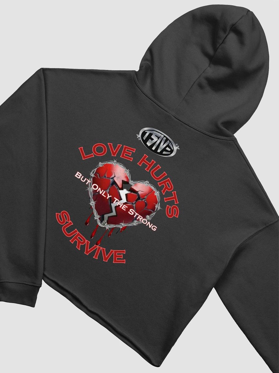 Love Hurts Cropped Hoodie product image (4)