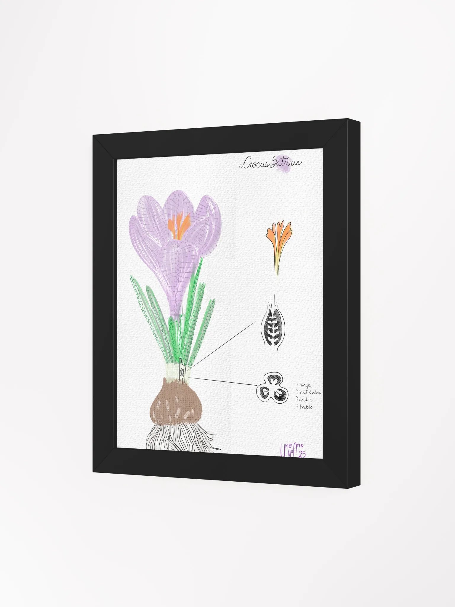 Crochet Vision: Crocus Framed Print product image (3)