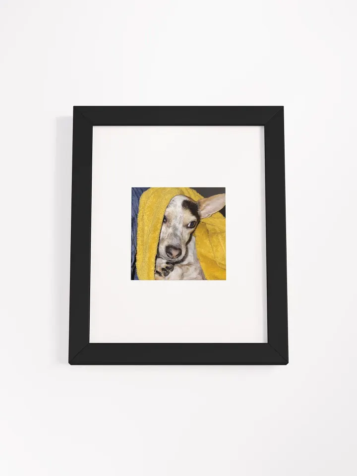 Bronx the Adorable product image (1)