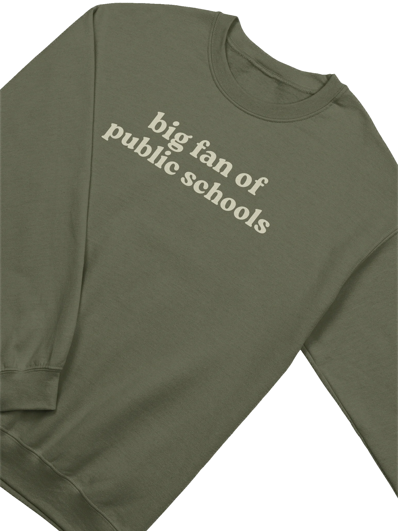 Big Fan of Public Schools Crewneck product image (3)