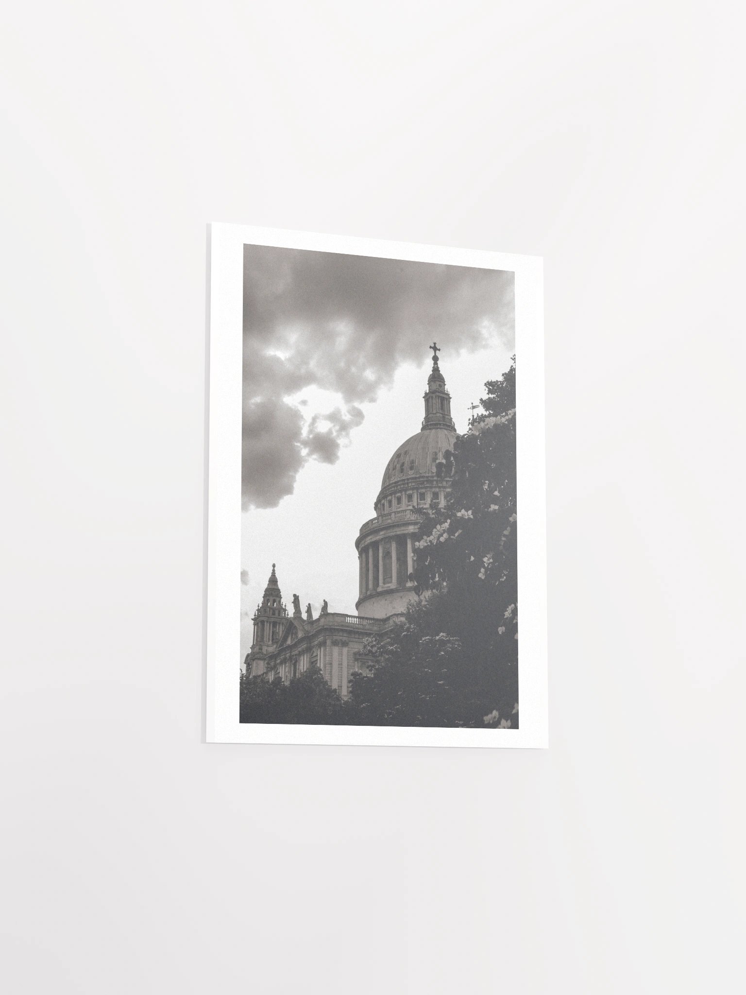 Flowers of St. Paul - Black & White / Print product image (21)
