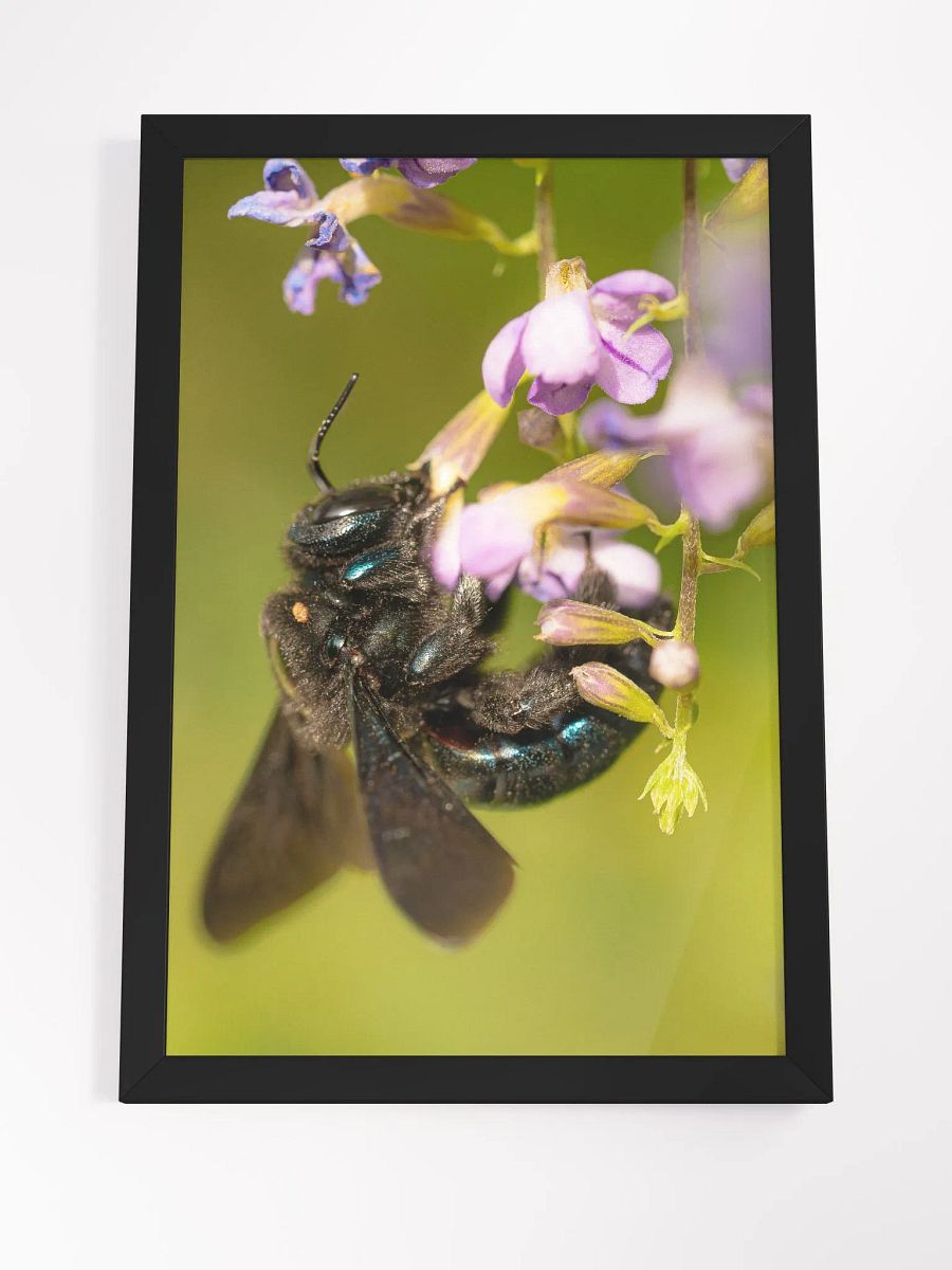 Bee Yourself product image (8)