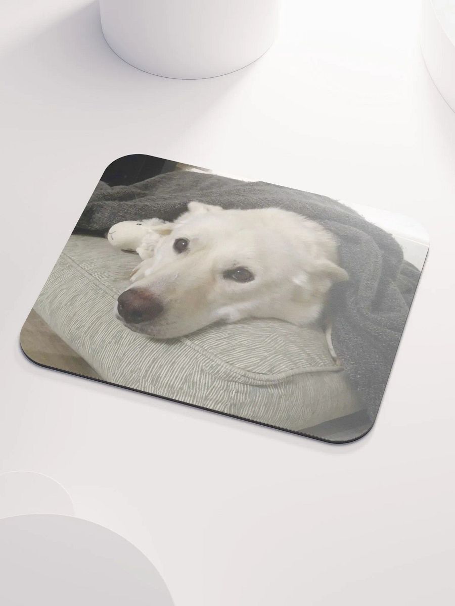 blanket boy product image (4)