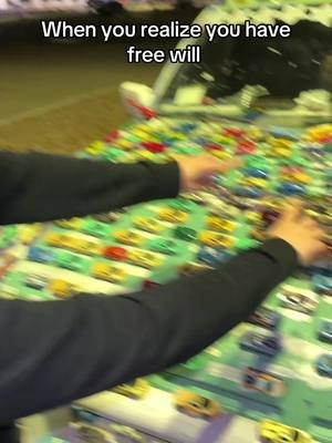 Free will max potential? #fyp #catalixia 