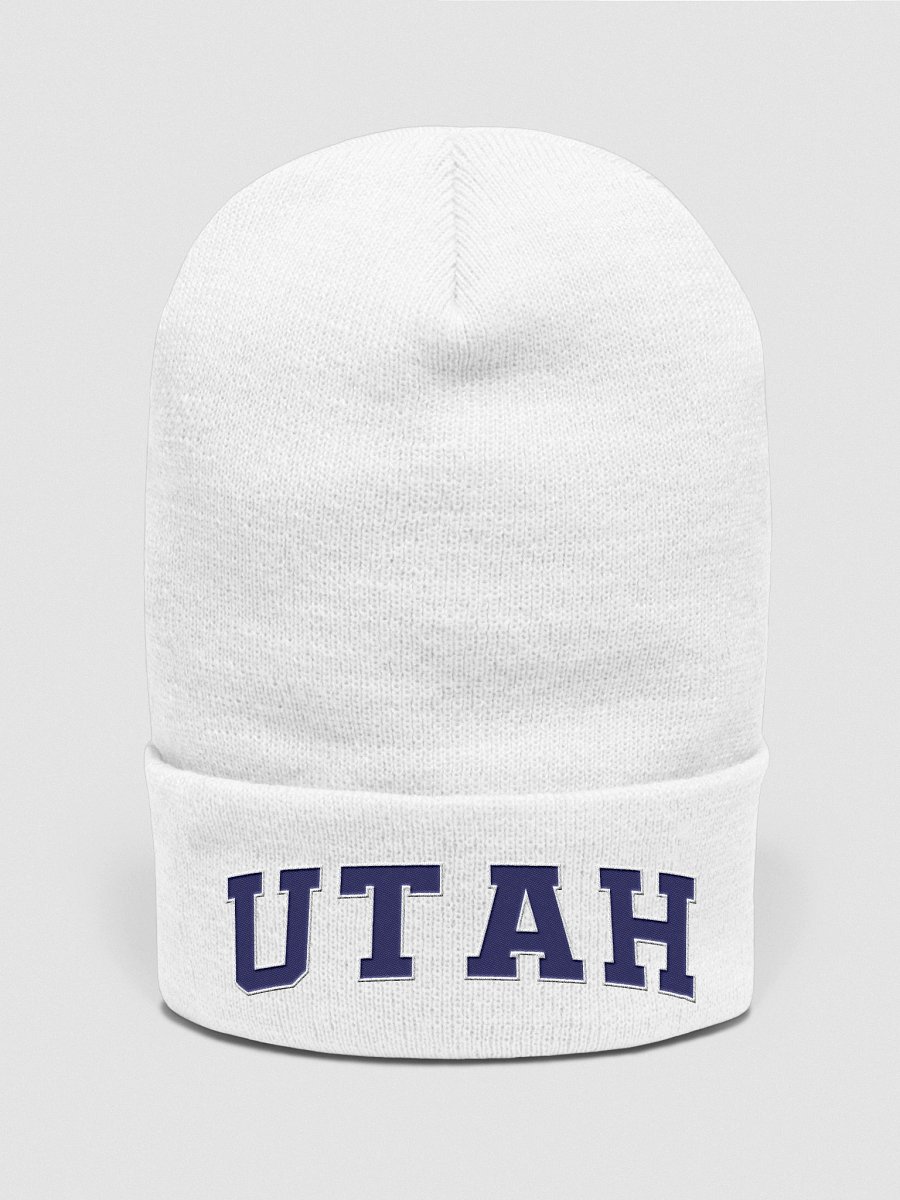 Utah Vintage Stylish Cuffed Beanie product image (2)
