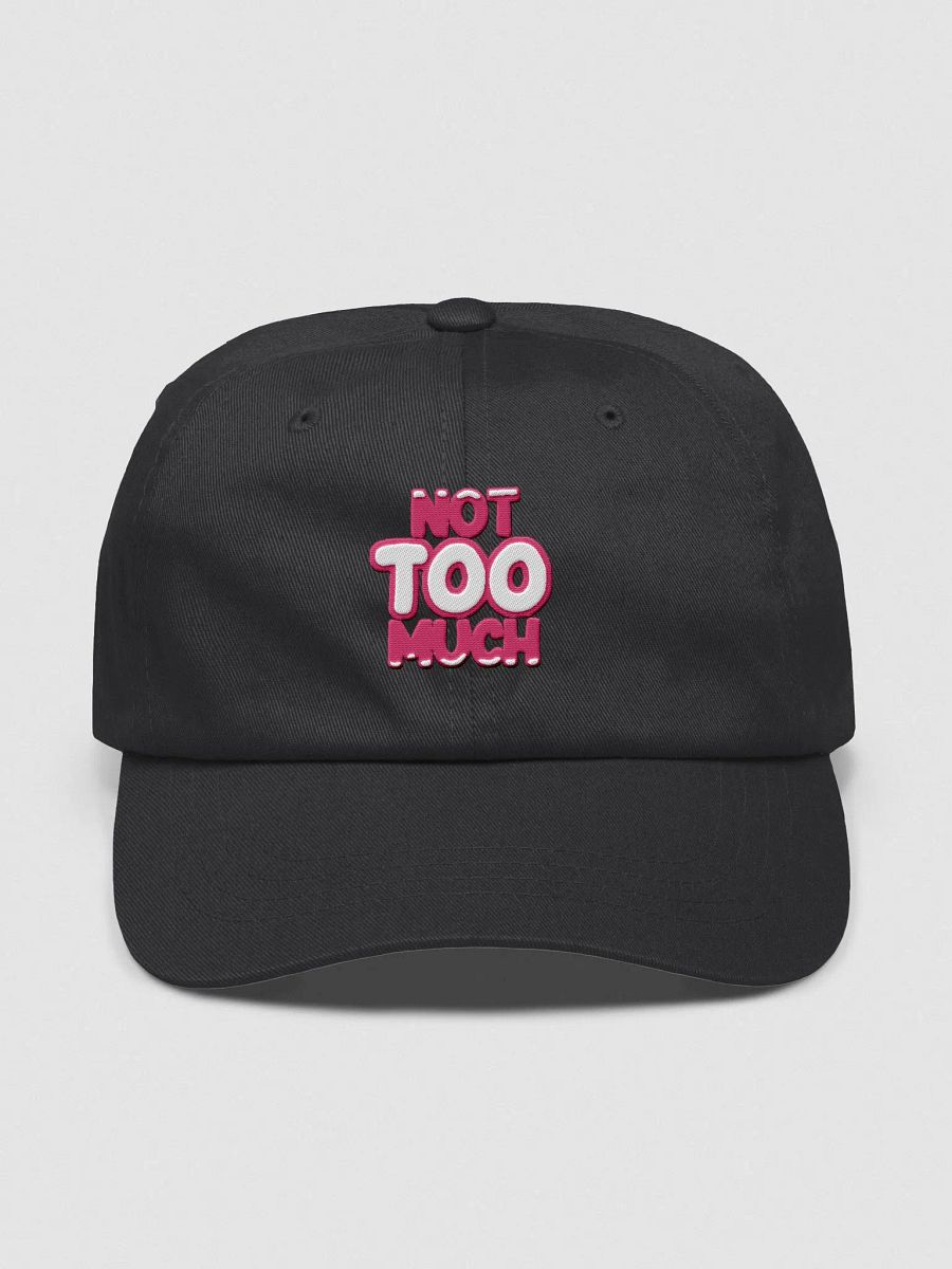 NOT TOO MUCH Cap! product image (3)