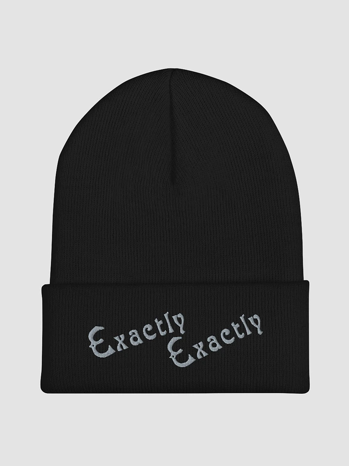 Exactly Exactly Cuffed Beanie Dark product image (1)