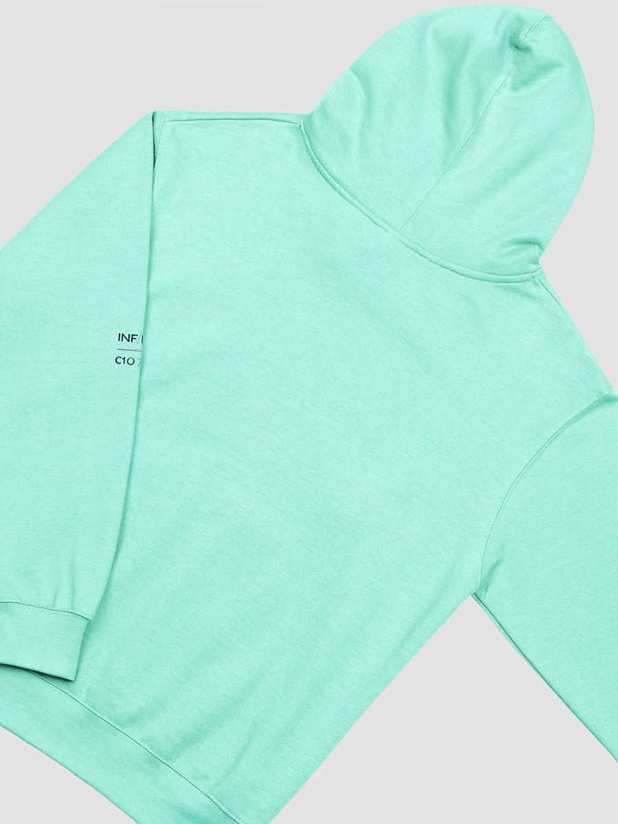 Style Without Limits I&C Unisex Hoodie product image (36)