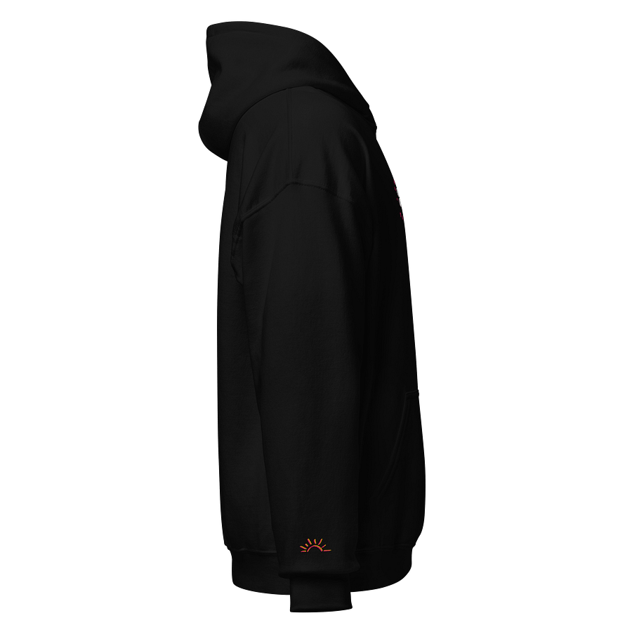 Daisy Embroidered Hoodie product image (10)