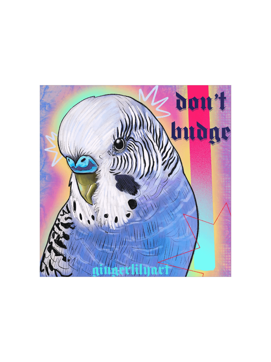 budgie print product image (6)