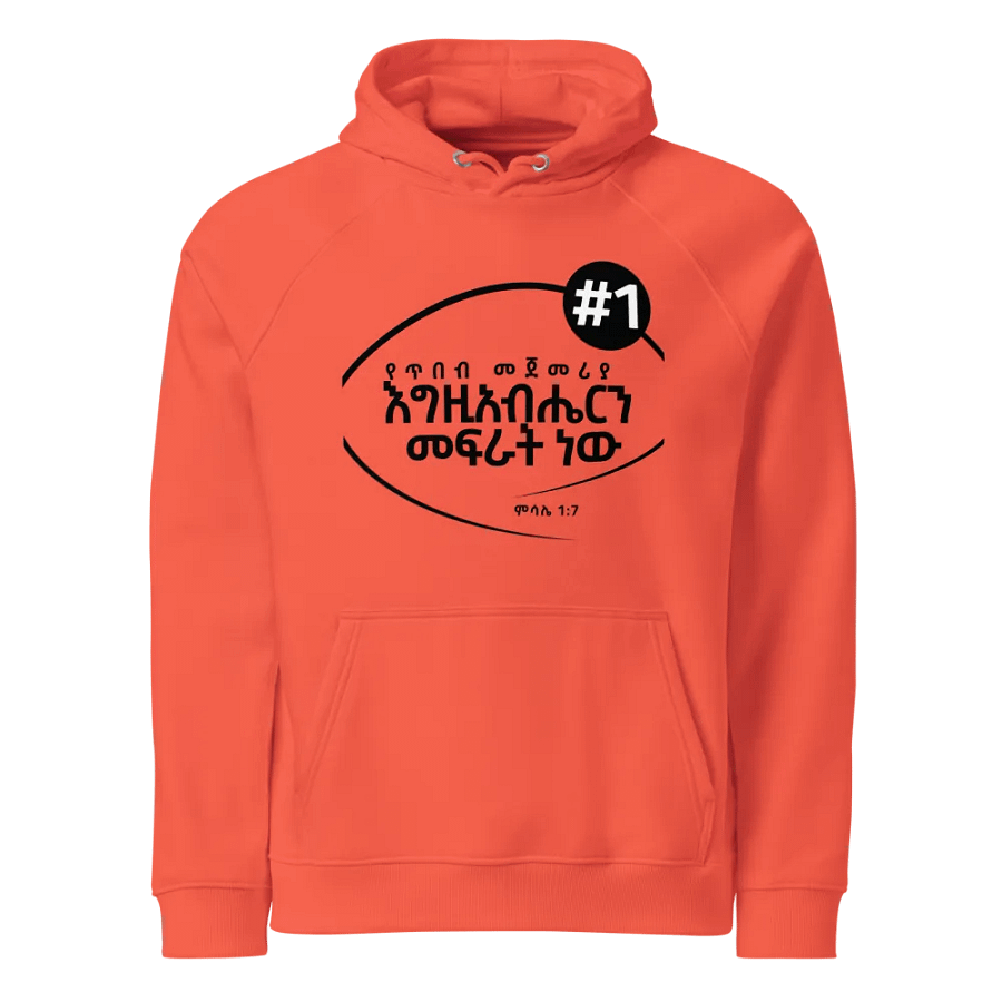 'Proverbs 1:7' Hoodie product image (1)