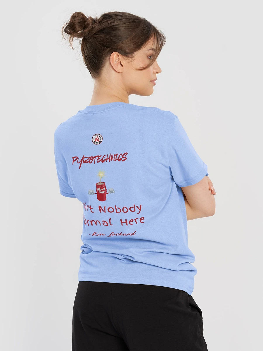 Ain't Nobody Normal T-shirt product image (27)