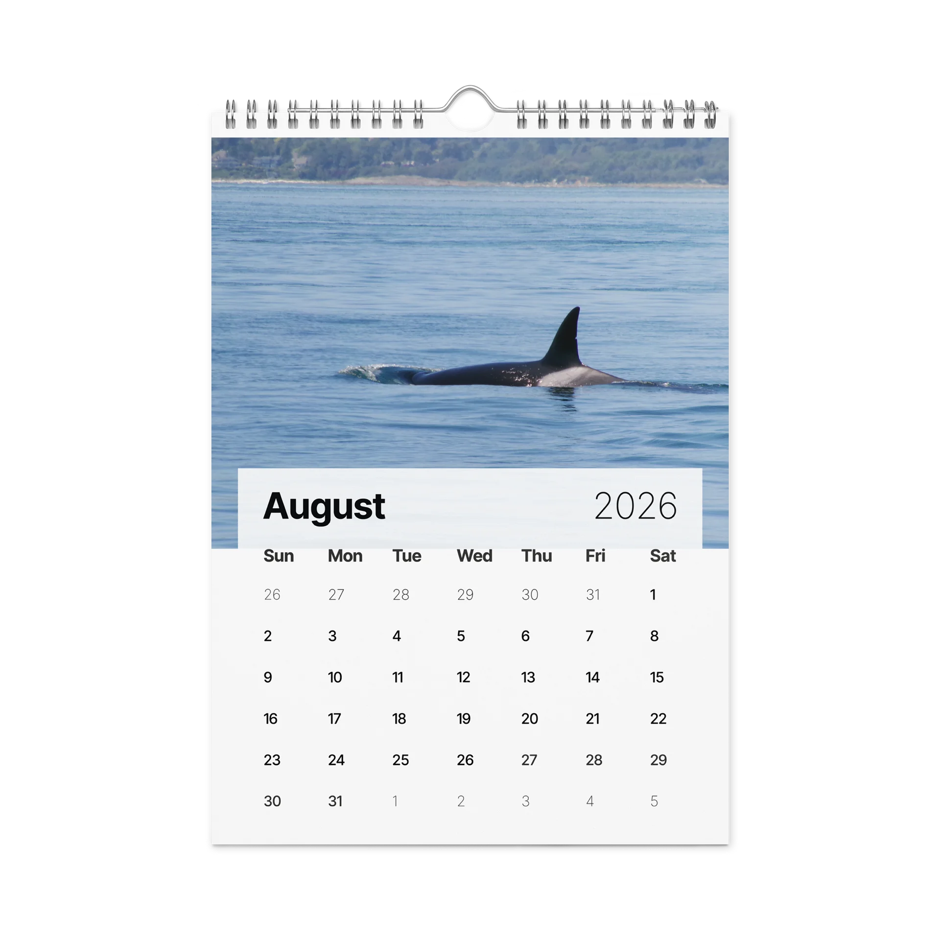 CRAVONE - 2026 Orca Calendar product image (2)