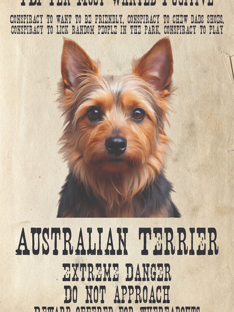 "The Notorious Australian Terrier" product image (1)