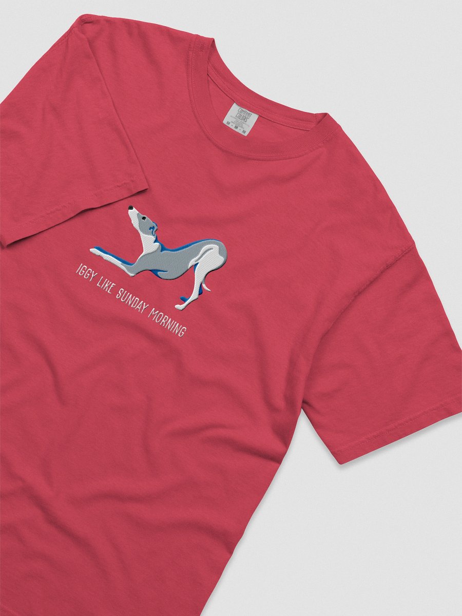 Iggy Like Sunday Morning T-Shirt(Embroidered) of an Italian Greyhound(Blue & White) product image (55)
